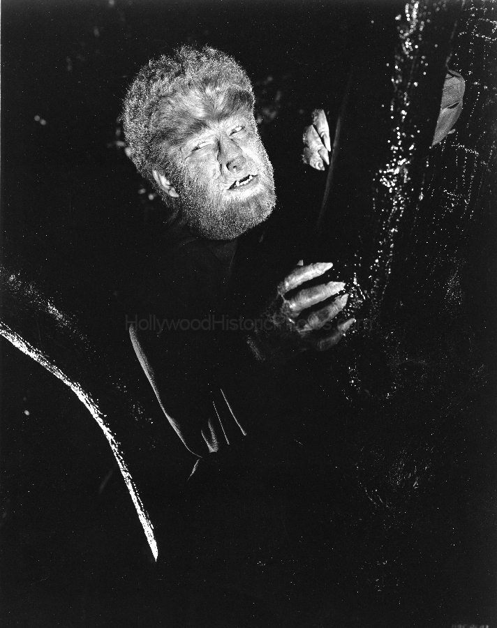 wolfman 41 1.jpg